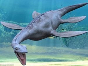 Plesiosauro
