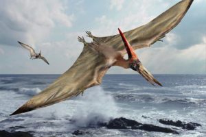 Pterosaurio