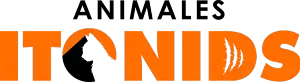 Logo Animales Itonids