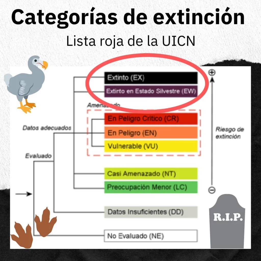 Categorías para clasificar el estado de conservación de una especie según la Lista Roja de la Unión Internacional para la Conservación de la Naturaleza (UICN).