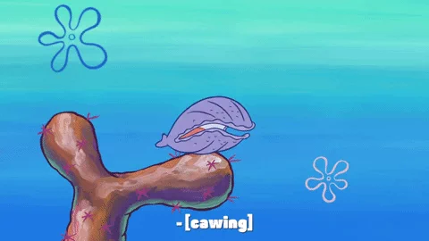 Gif almeja Bob Esponja