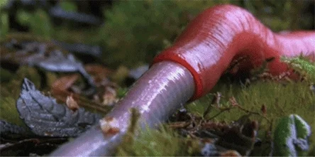 Gif de lombriz de tierra