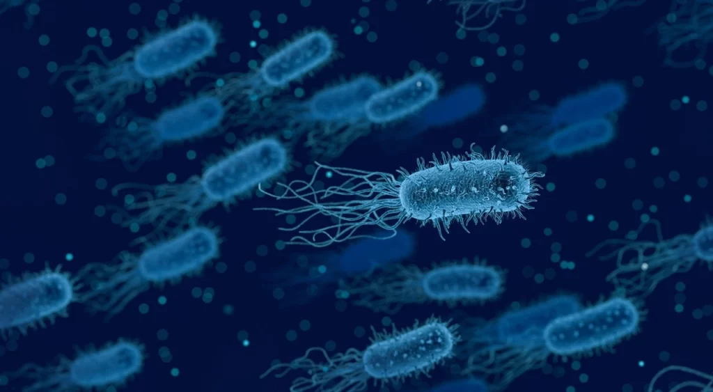 Bacterioplancton o plancton formado por bacterias.