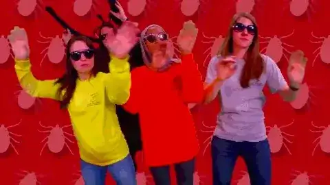 Gif Ricinulei